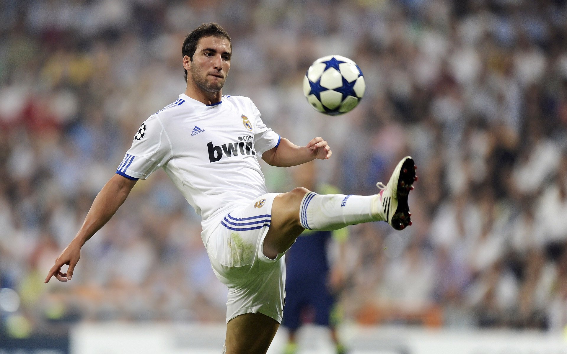 中国男篮公布最新集训计划